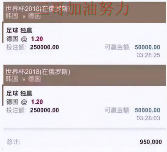 世界杯直播期间热门世界杯投注平台整理与直播入口分析 世界杯直播期间热门世界杯投注平台整理与直播入口分析